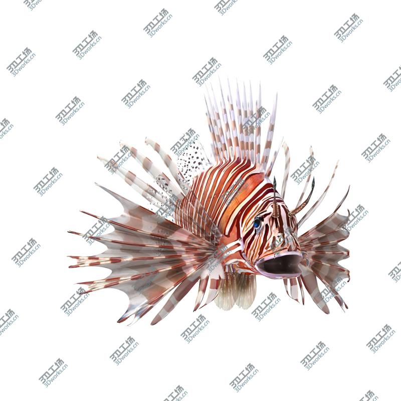 images/goods_img/202105072/Coral Fishes Rigged Collection 2 for Cinema 4D model/3.jpg